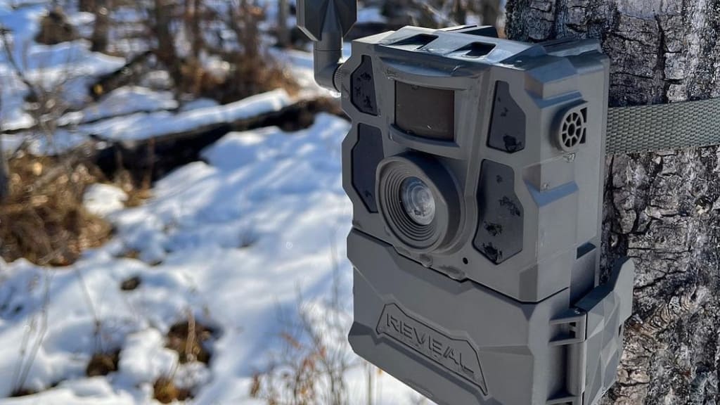 Best Brand Trail Cameras Review And Buying Guide