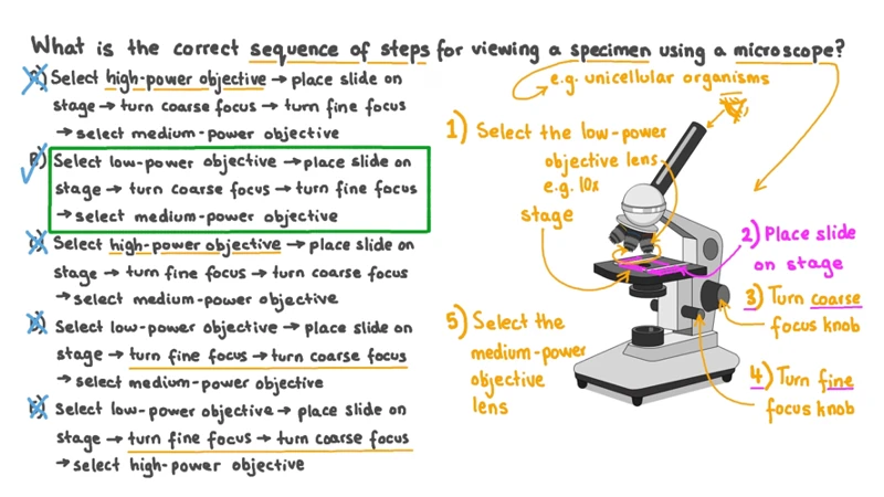 how-to-change-objectives-on-your-microscope-a-step-by-step-guide