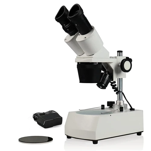 How To Quickly And Easily Adjust Clarity Of Microscope Images - Get ...