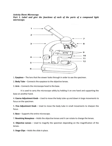 What Holds the Microscope Together: A Look at What Supports the Entire ...