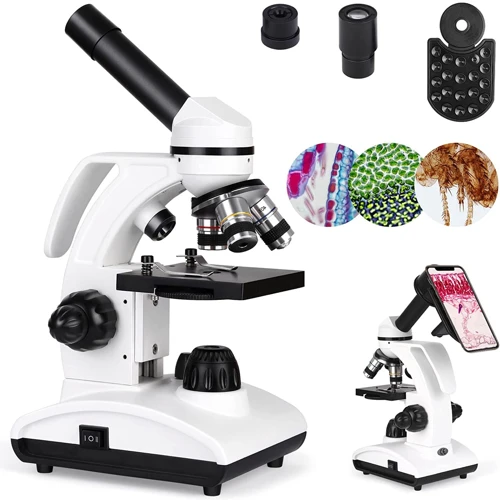 discover-what-you-can-see-with-a-40x-microscope-tips-for-beginners